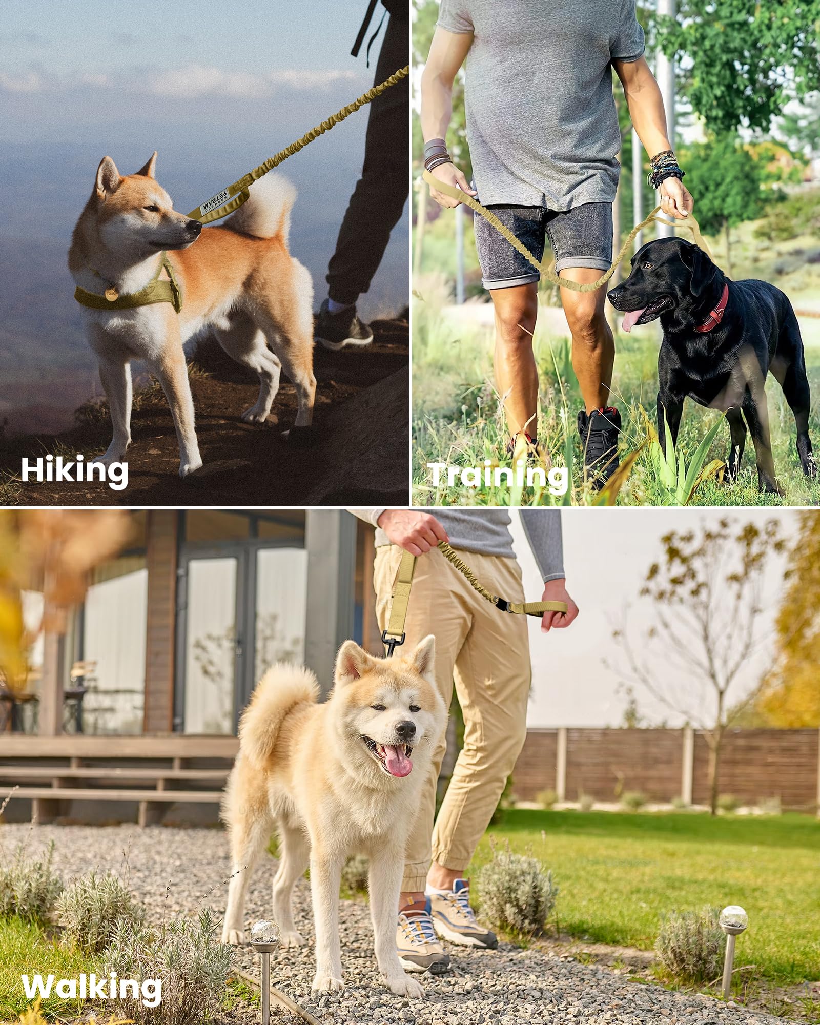 OutdoorMaster bungee dog leash walking scene highlights comfort and reduced strain.