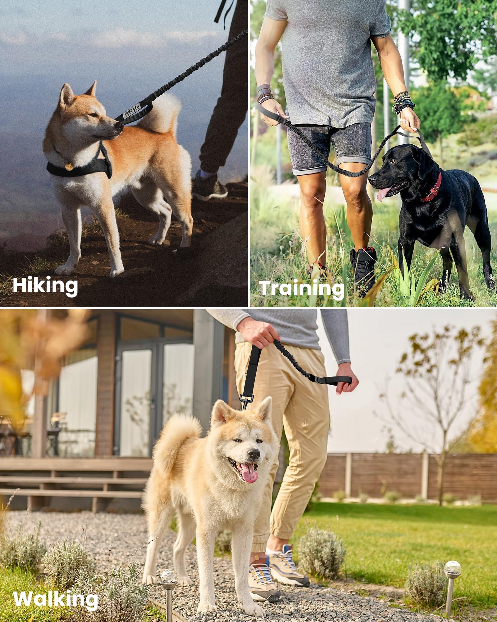 OutdoorMaster Bungee Leash easy to wash after muddy hikes.