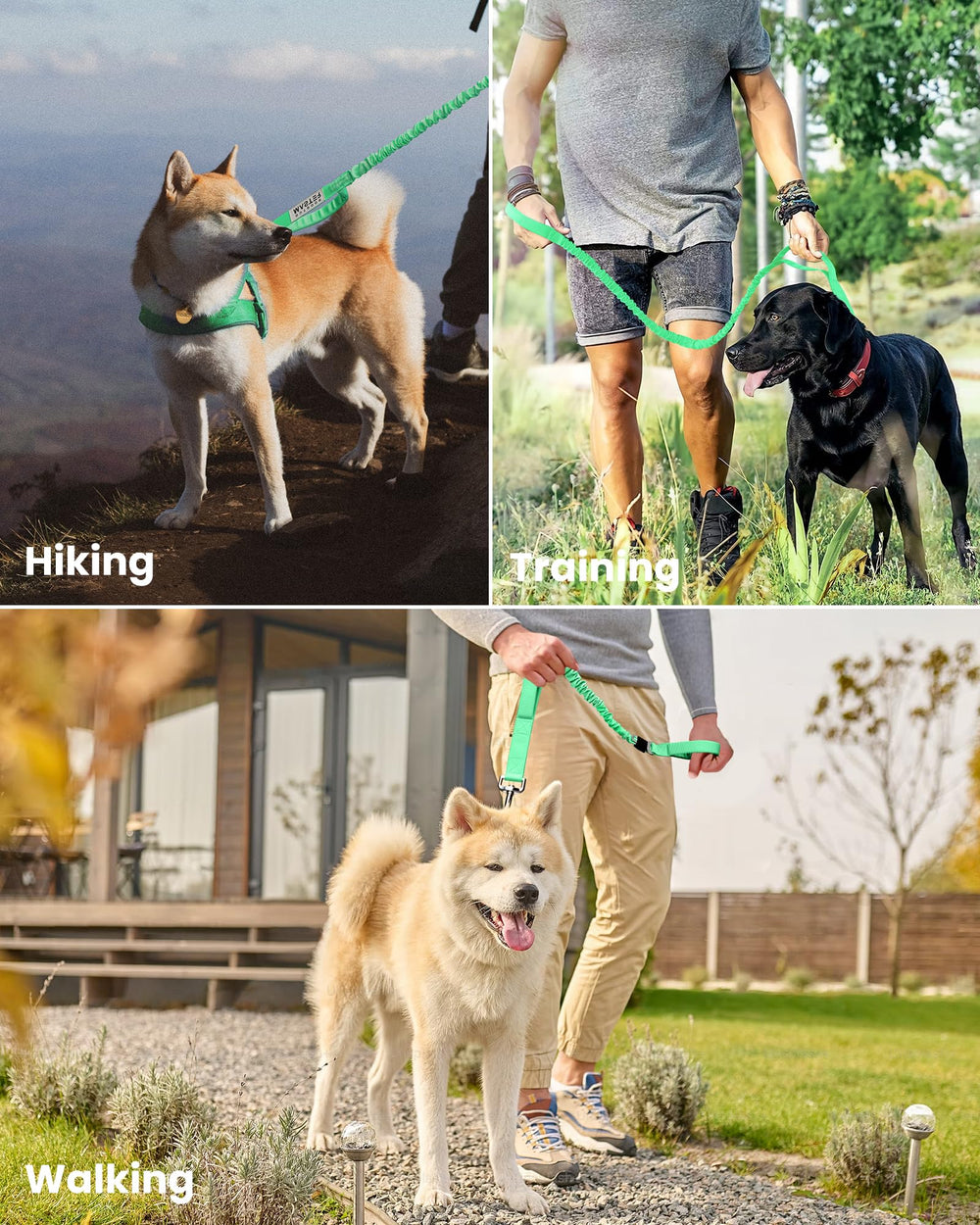 OutdoorMaster Bungee Leash is easy to wash after outdoor adventures.