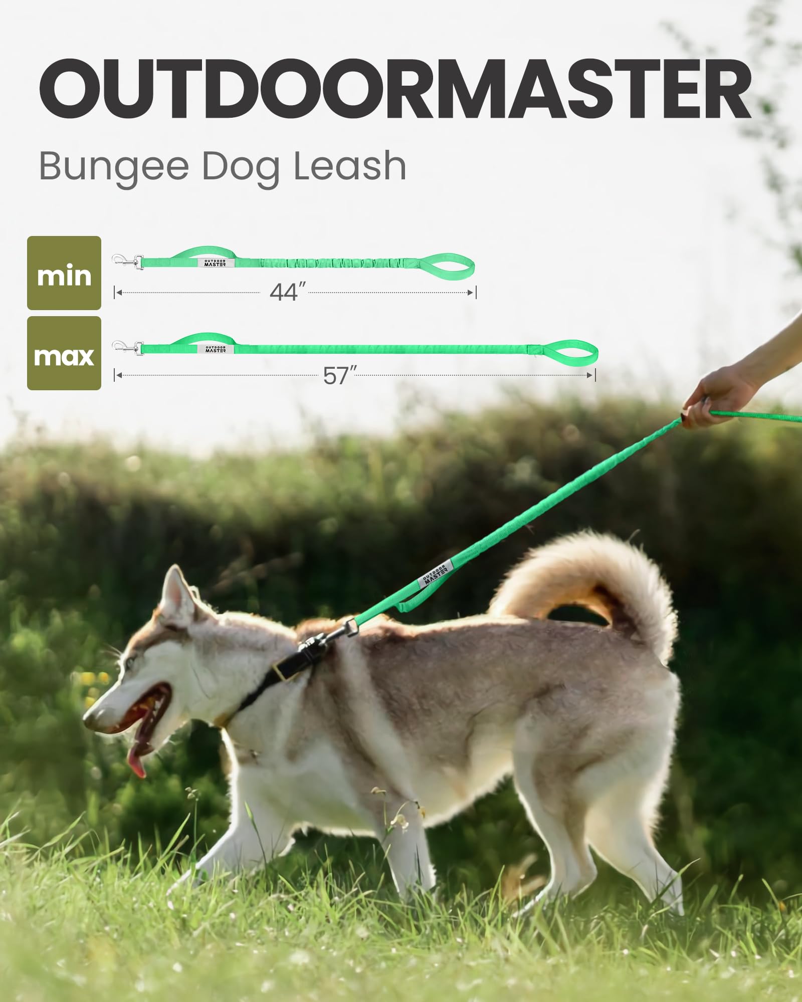 OutdoorMaster Bungee Leash with elastic rope for smoother walking.