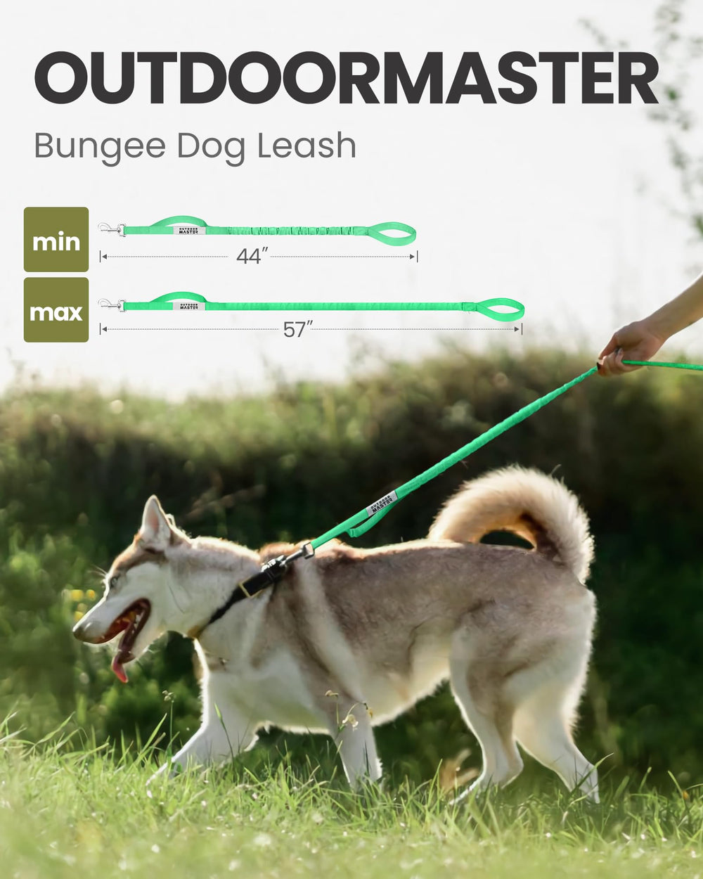 OutdoorMaster Bungee Leash with elastic rope for smoother walking.