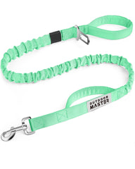OutdoorMaster Bungee Leash demonstrates secure 360° clip for safer walks.