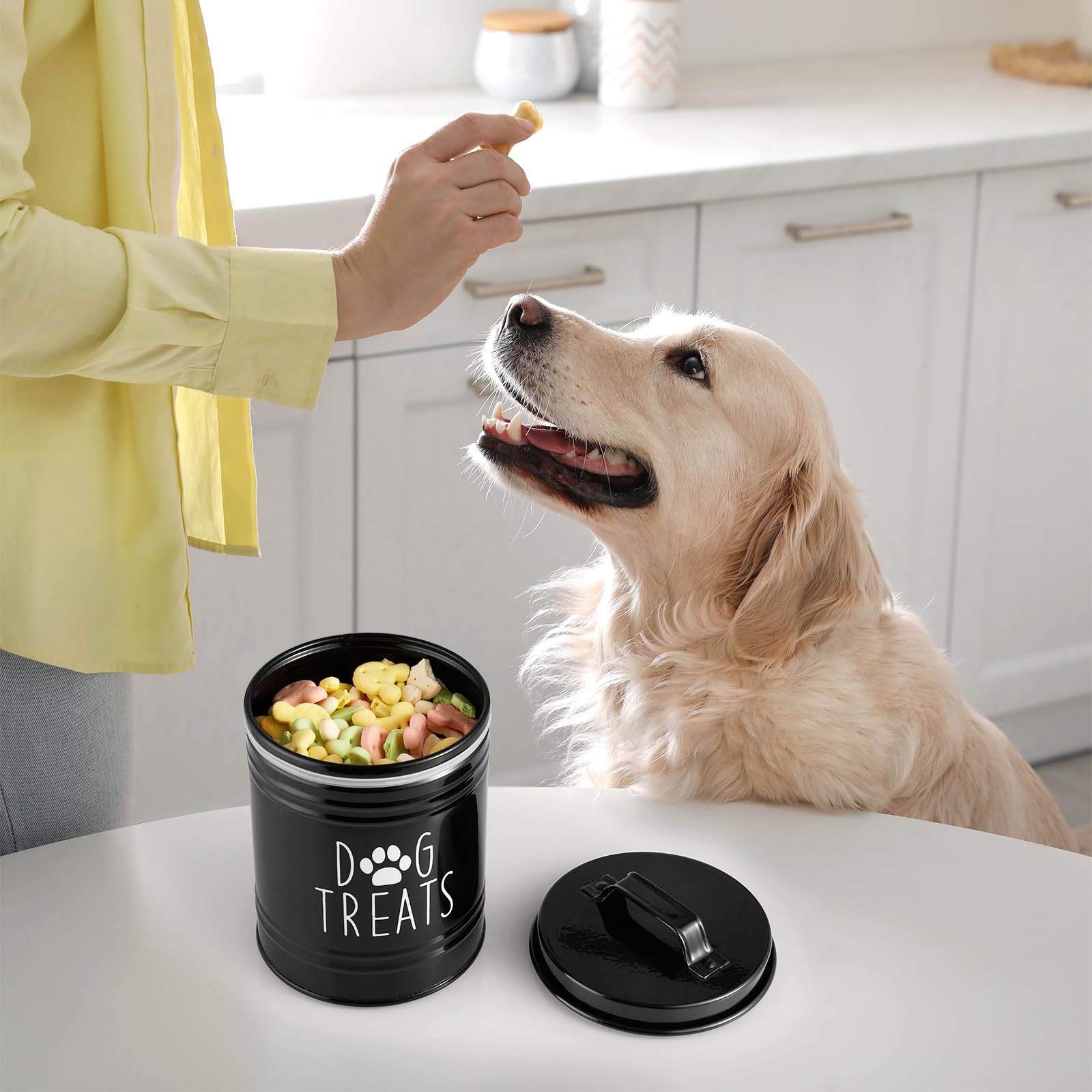 OUTNILI dog treat container on kitchen shelf showcases organized storage saves time