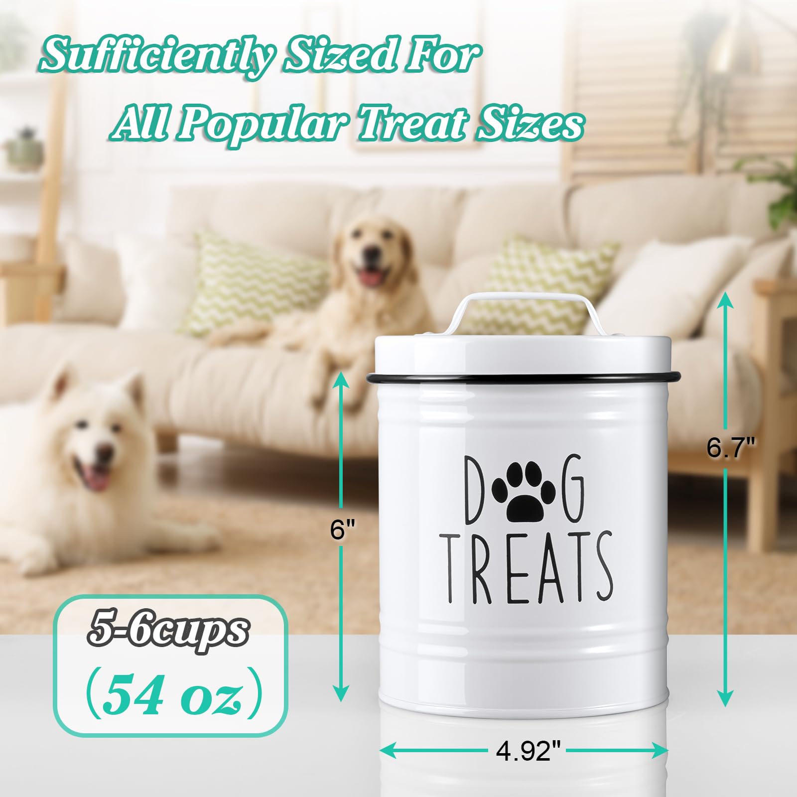 OUTNILI gift-ready jar suits pet-lovers and new pet owners