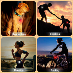 Outopest dog light displaying three modes for different activities