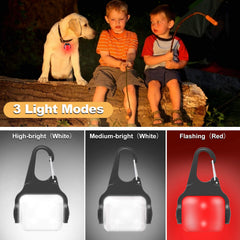 Outopest dog light clipped on collar demonstrating secure attachment and visibility