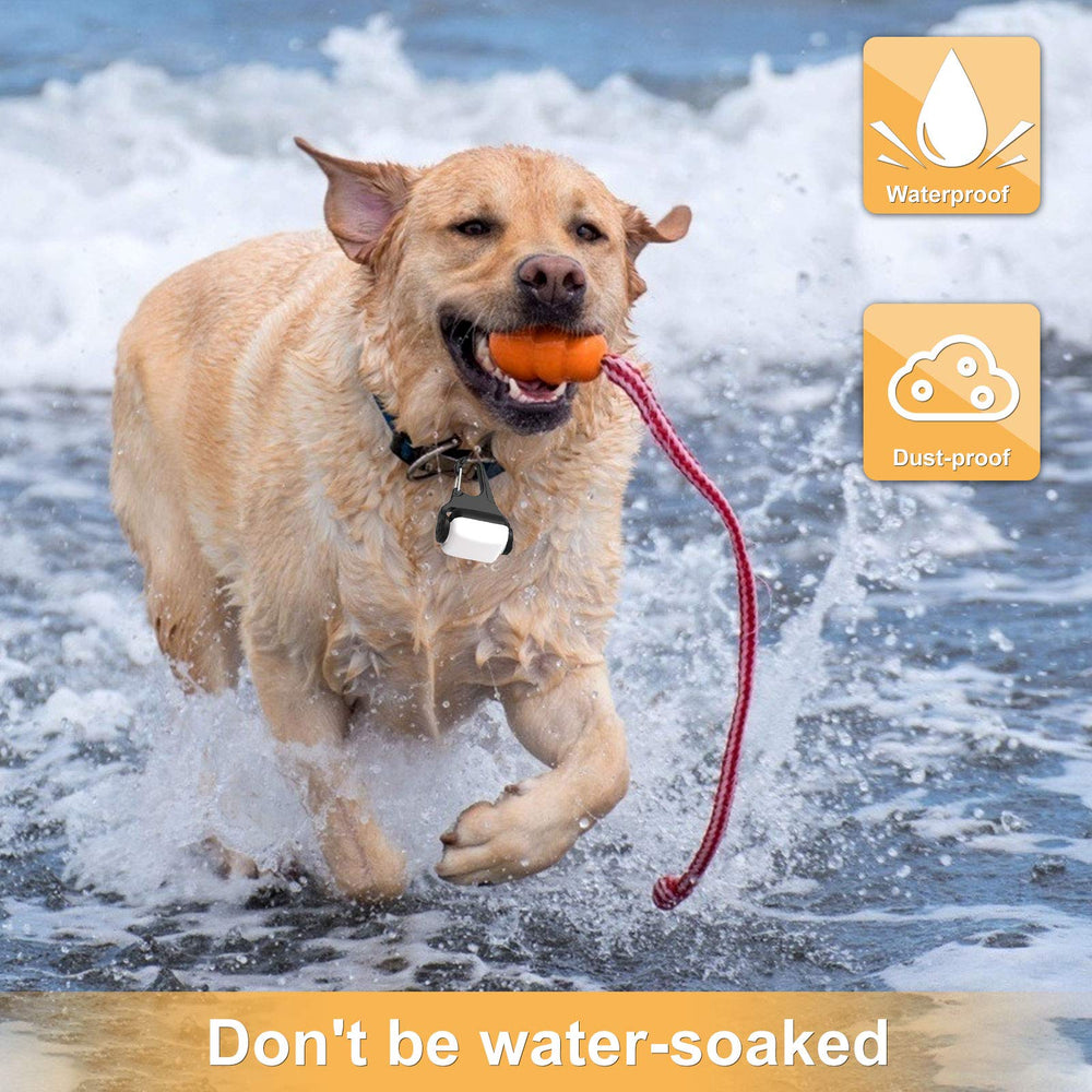 Outopest dog light USB-C recharge image emphasizing quick charging and long runtime