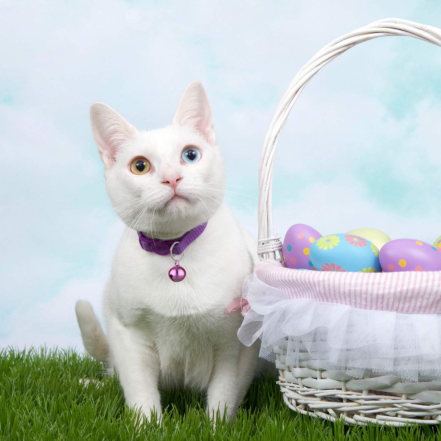 Outus crisp-tune-pet-bell delivers pleasant sound without disturbance.