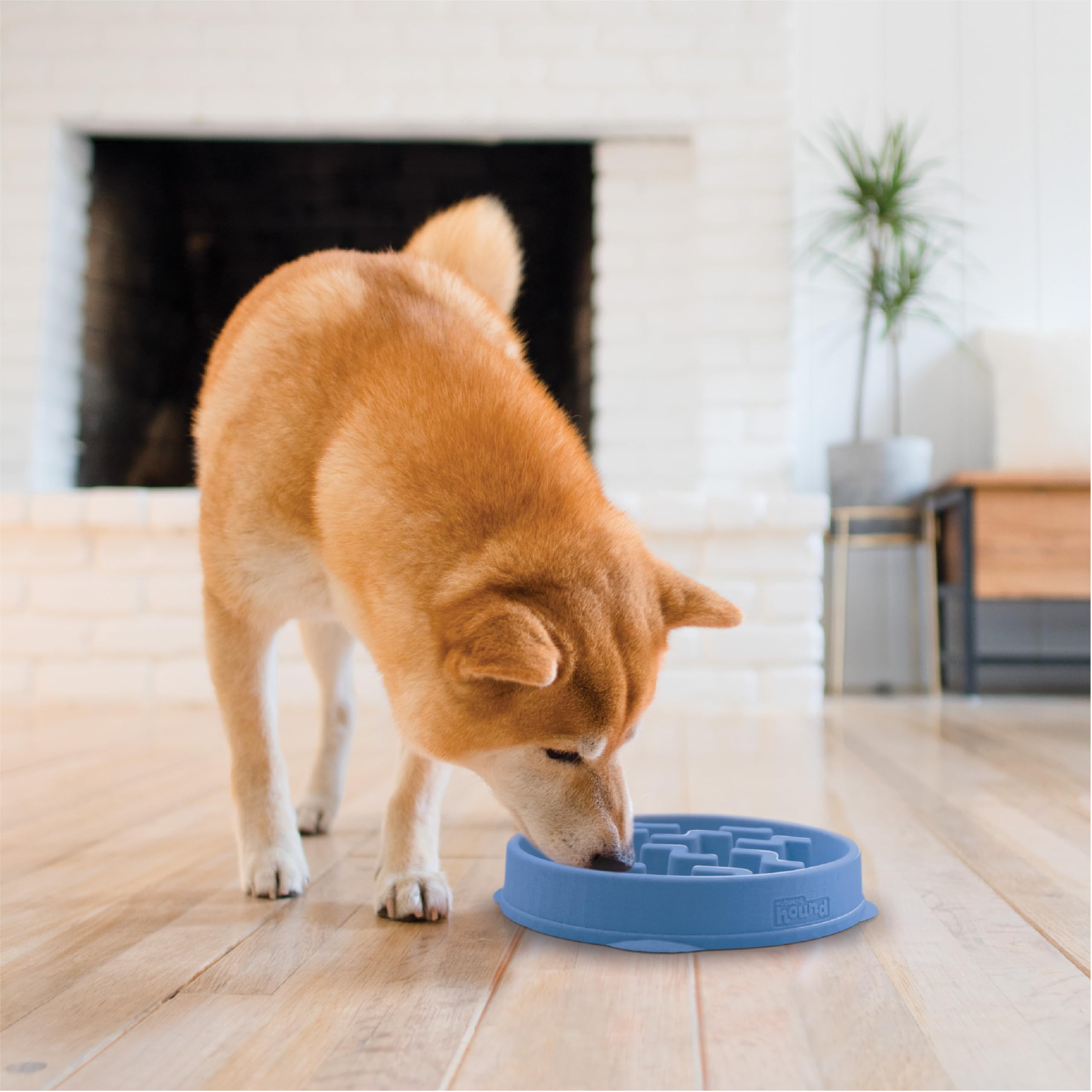 Outward Hound dishwasher-safe top rack image shows easy cleaning after meals.