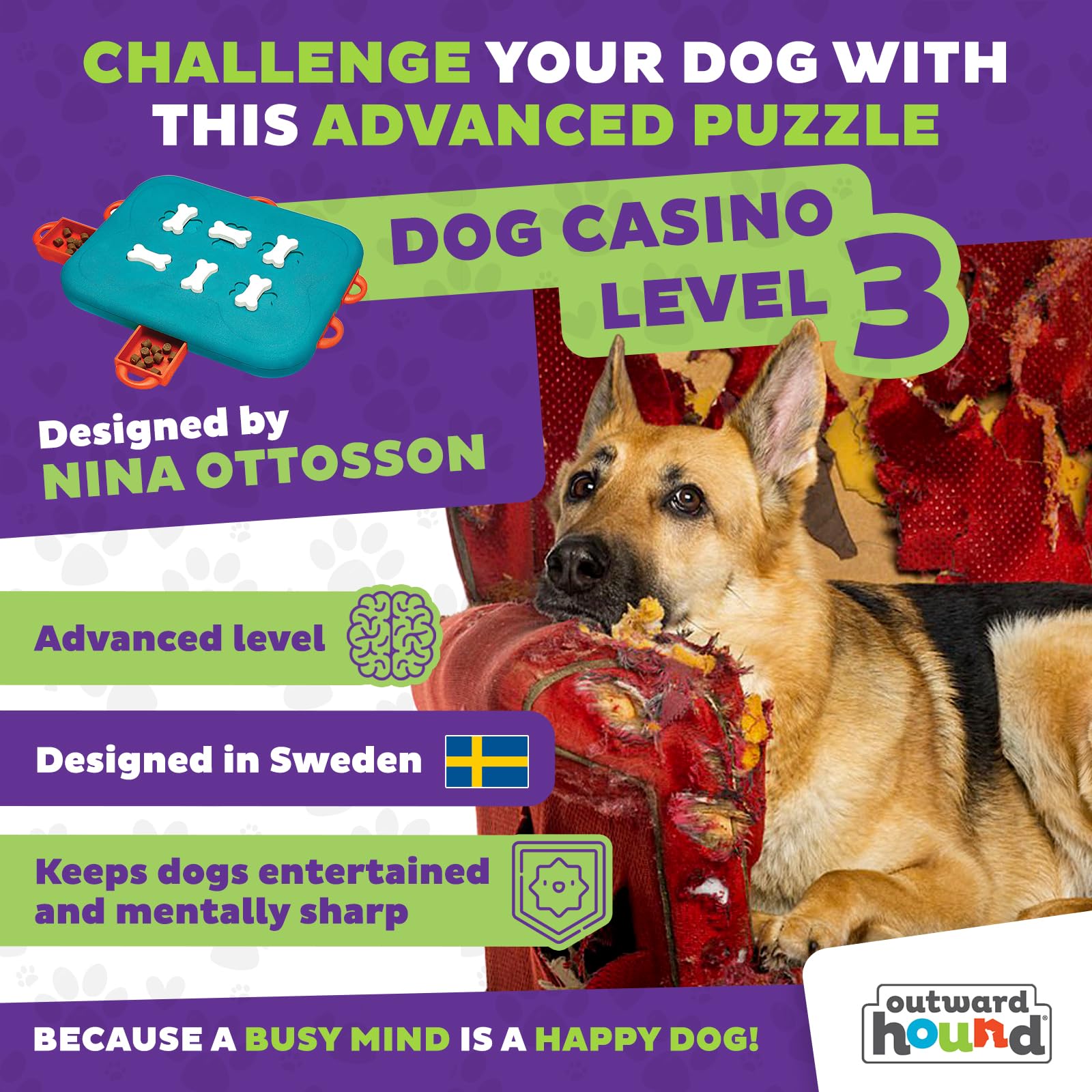 Outward Hound Dog Casino Level 3 bones unlock action demonstrates multi-step problem-solving for smarter dogs
