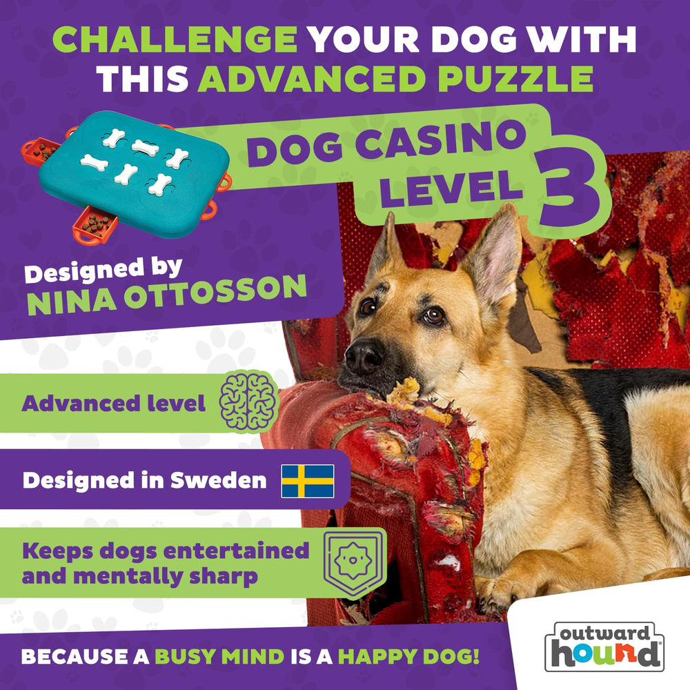 Outward Hound Dog Casino Level 3 bones unlock action demonstrates multi-step problem-solving for smarter dogs