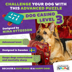 Outward Hound Dog Casino Level 3 bones unlock action demonstrates multi-step problem-solving for smarter dogs
