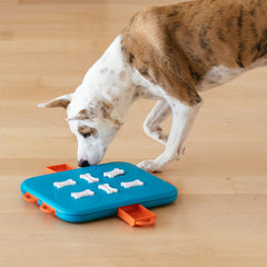 Outward Hound Dog Casino Level 3 treasure drawers open shows interactive treat dispensing and sniffing
