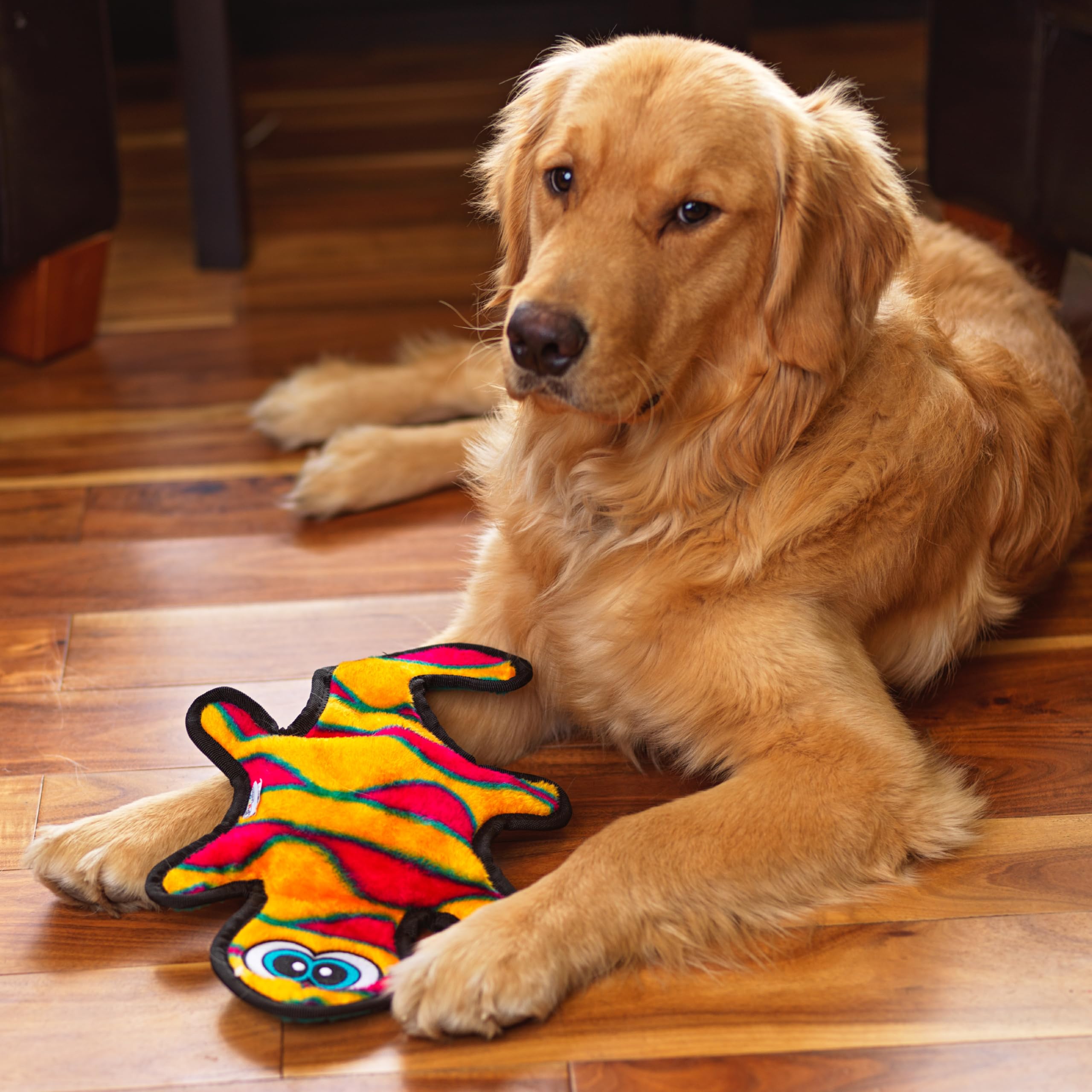 Outward Hound Durablez Gecko toy dog playing fetch highlighting size options