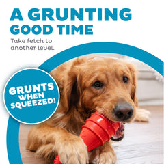 Outward Hound Grunt Fetch Stick Bunny red textured surface for durable, long-lasting play.
