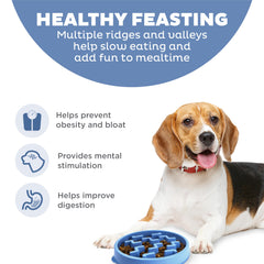 Outward Hound puzzle maze closeup shows challenging design to slow fast eaters and boost mental engagement.