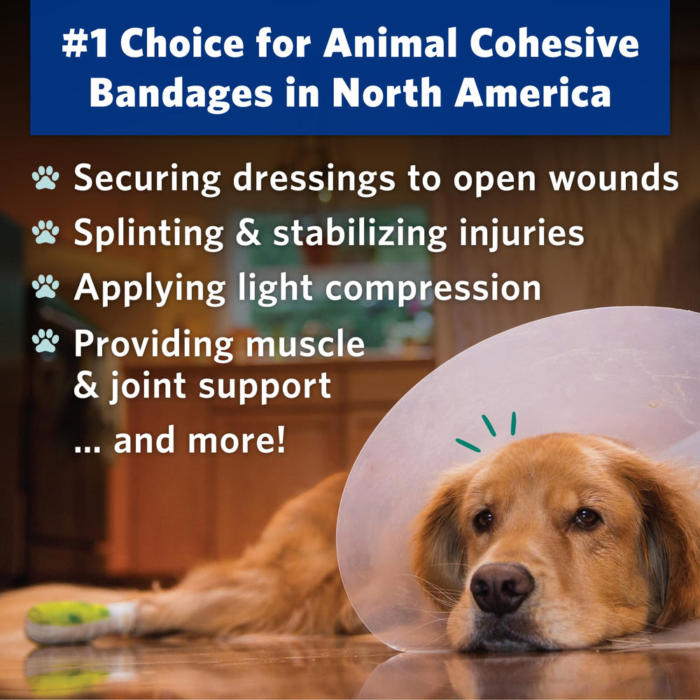 OVIK Health PetFlex No Chew bandage on a dog's leg securing a dressing