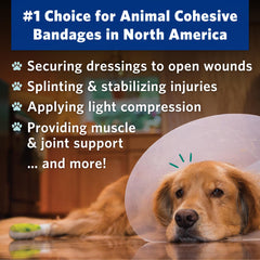OVIK Health PetFlex No Chew bandage on a dog's leg securing a dressing