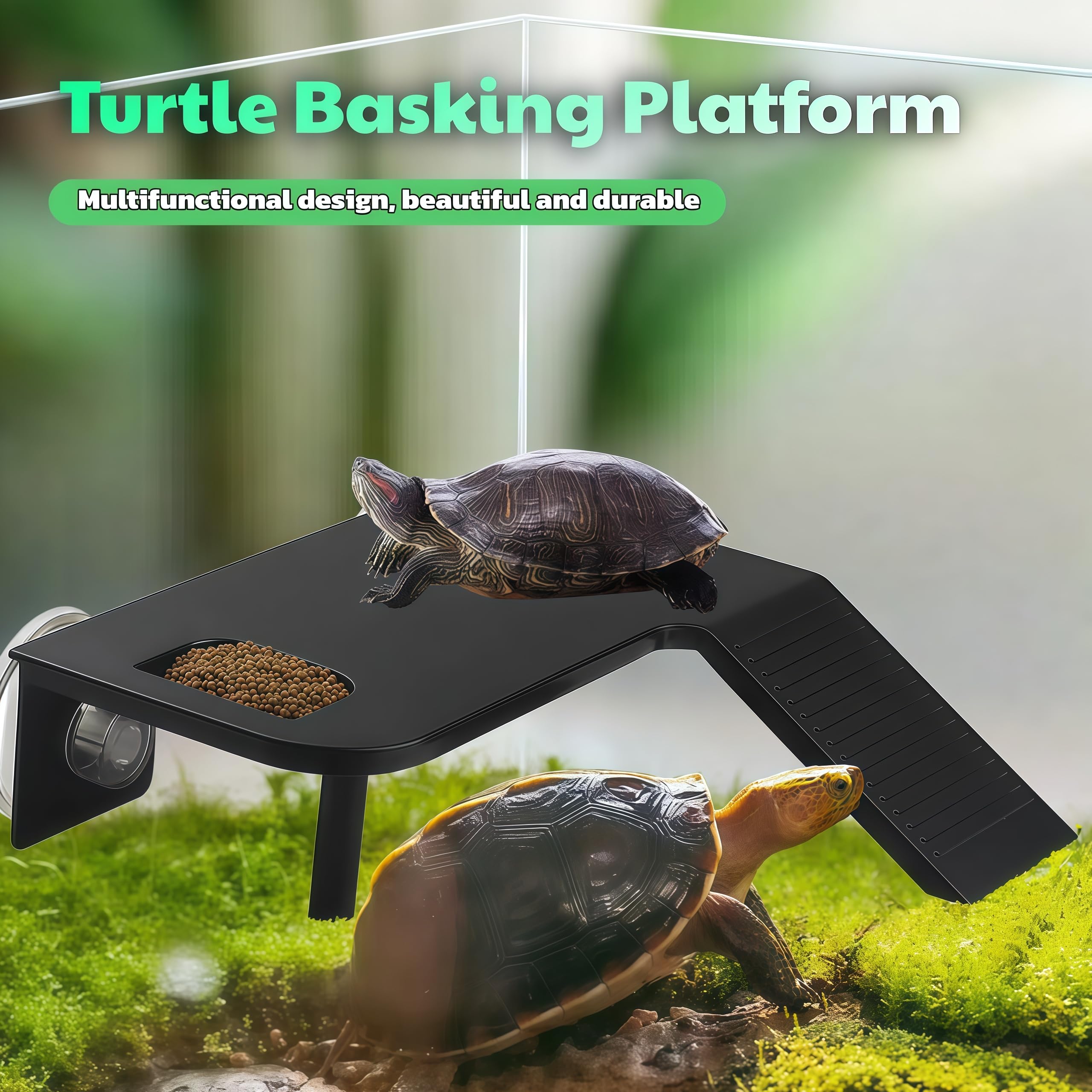 Ovimyne platform reinforced with bottom supports for durable multi-turtle setups