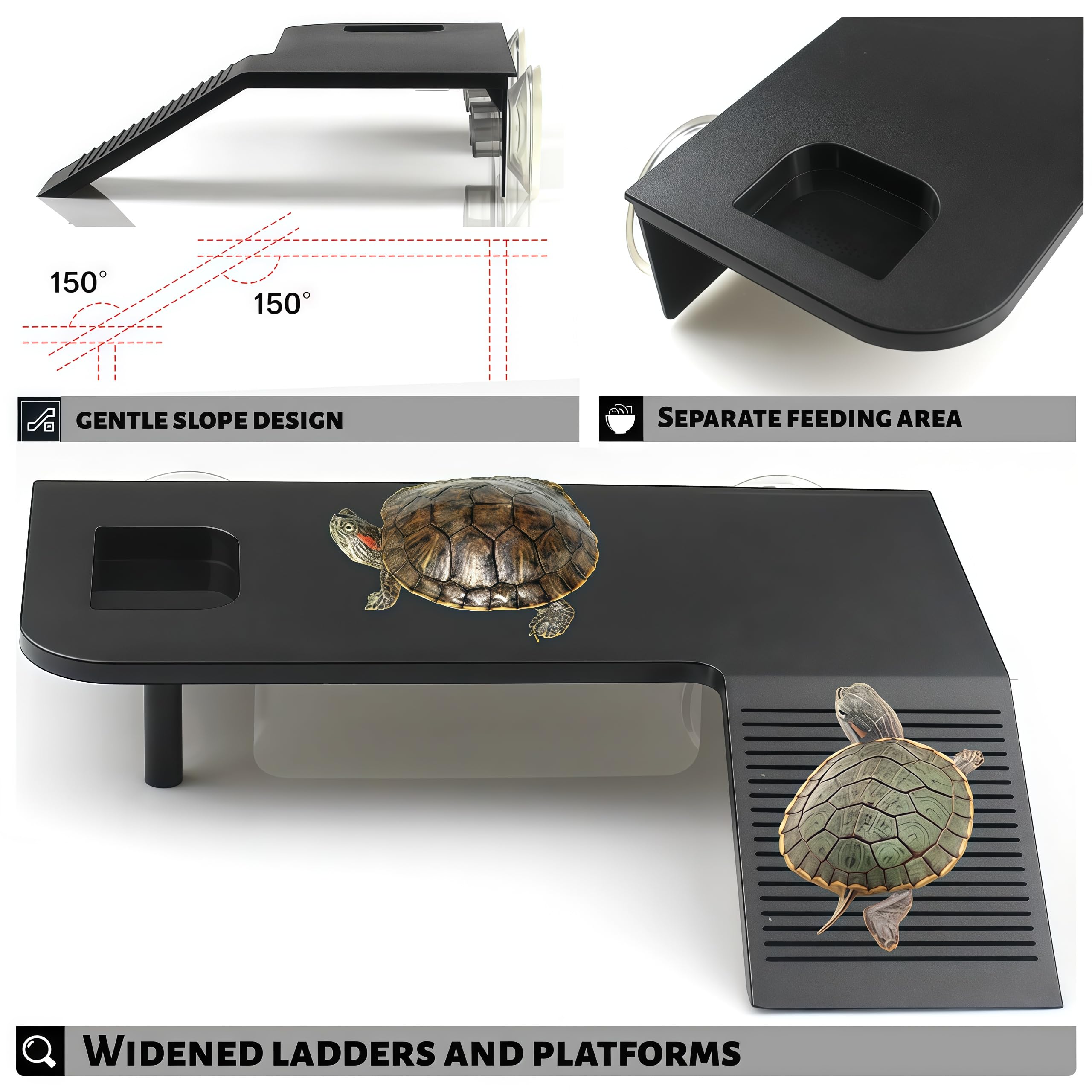 Ovimyne platform medium dimensions fit most turtle tanks