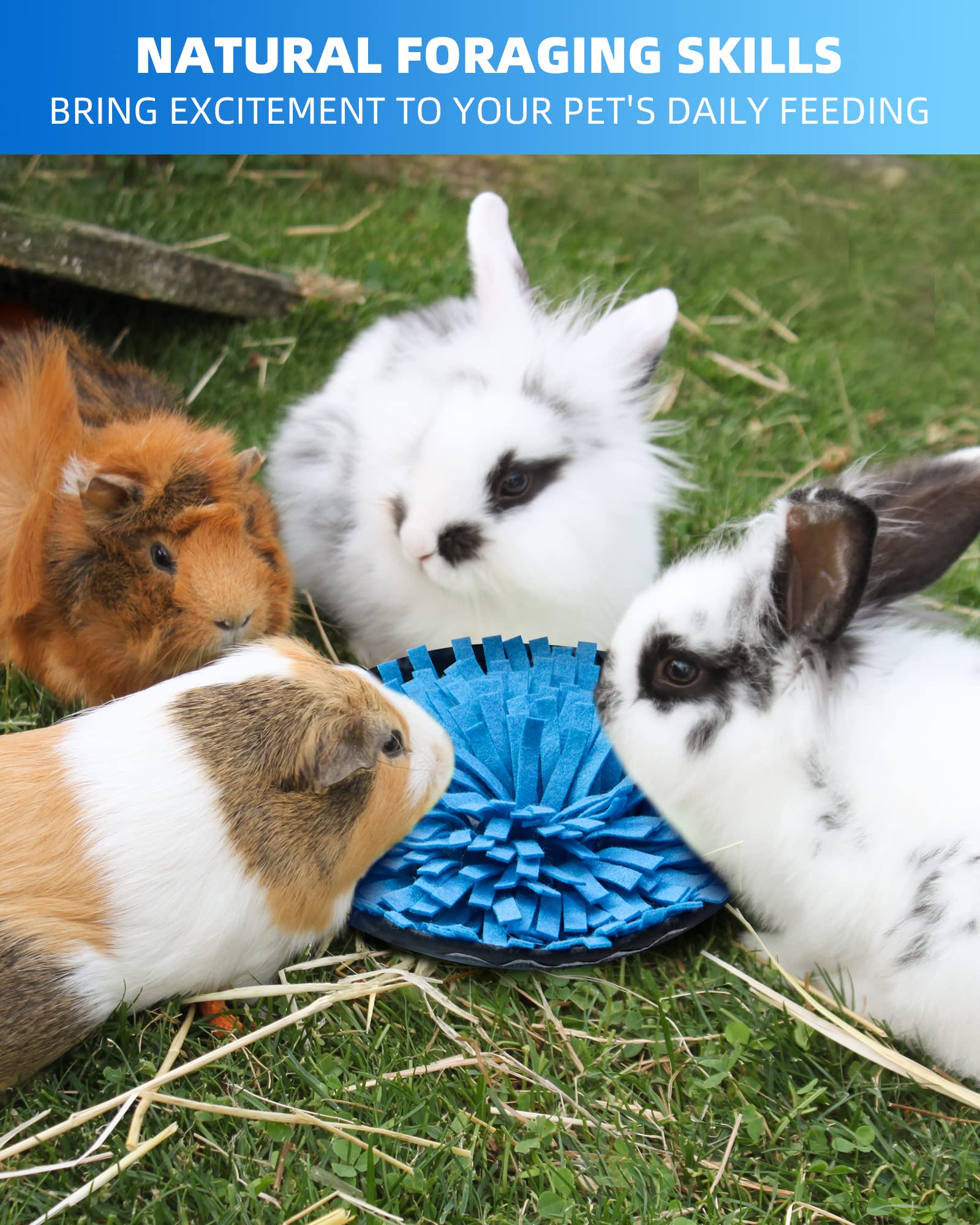 OVMKOV Storage and nosework design encourages treats exploration