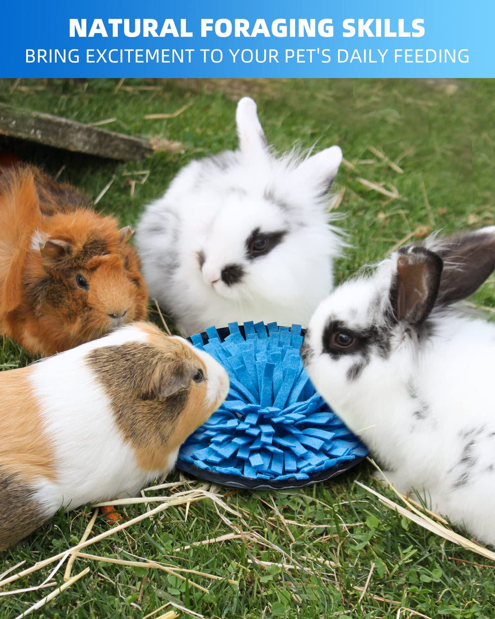 OVMKOV Storage and nosework design encourages treats exploration