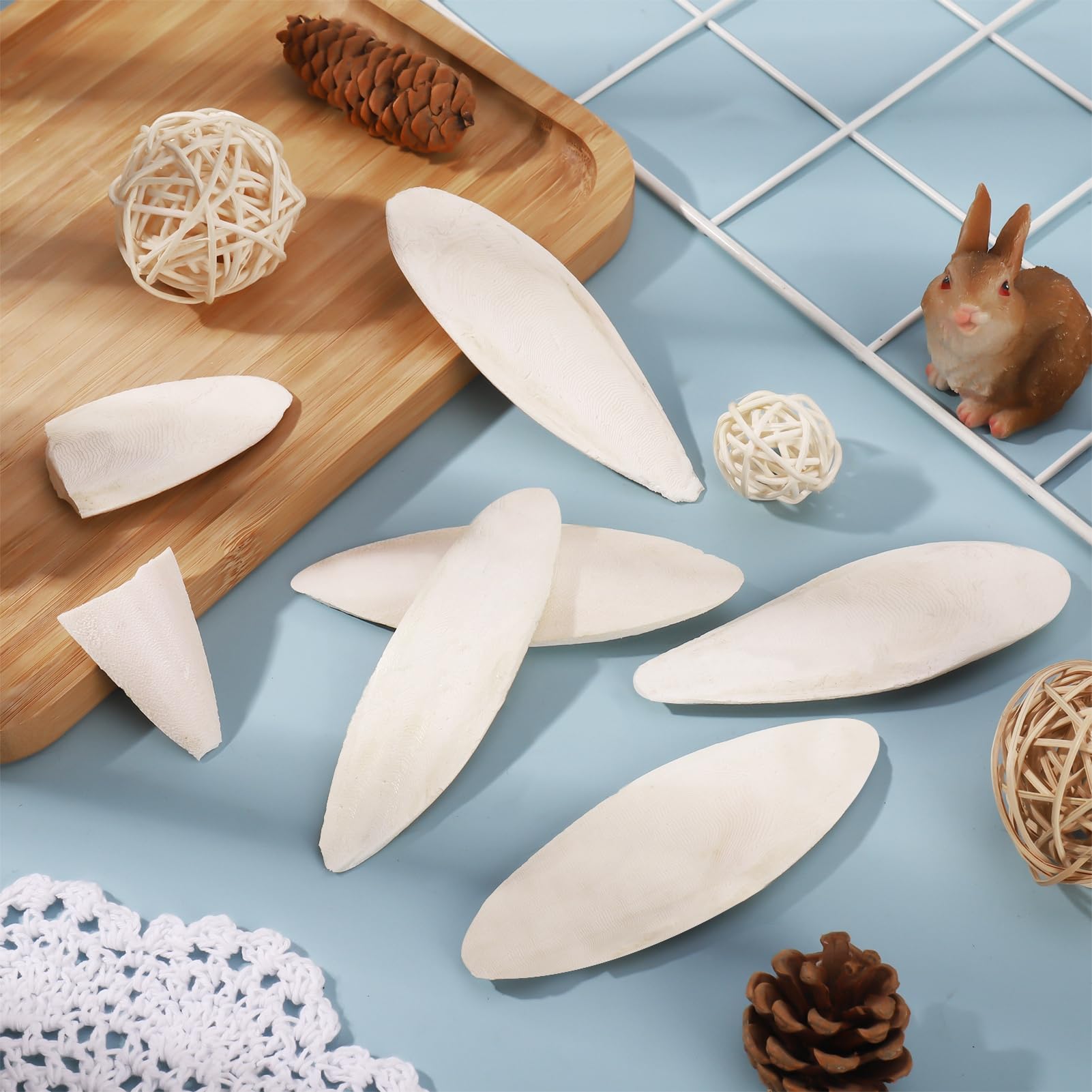Ovveroche cuttlebone used with tortoises for calcium source in shells