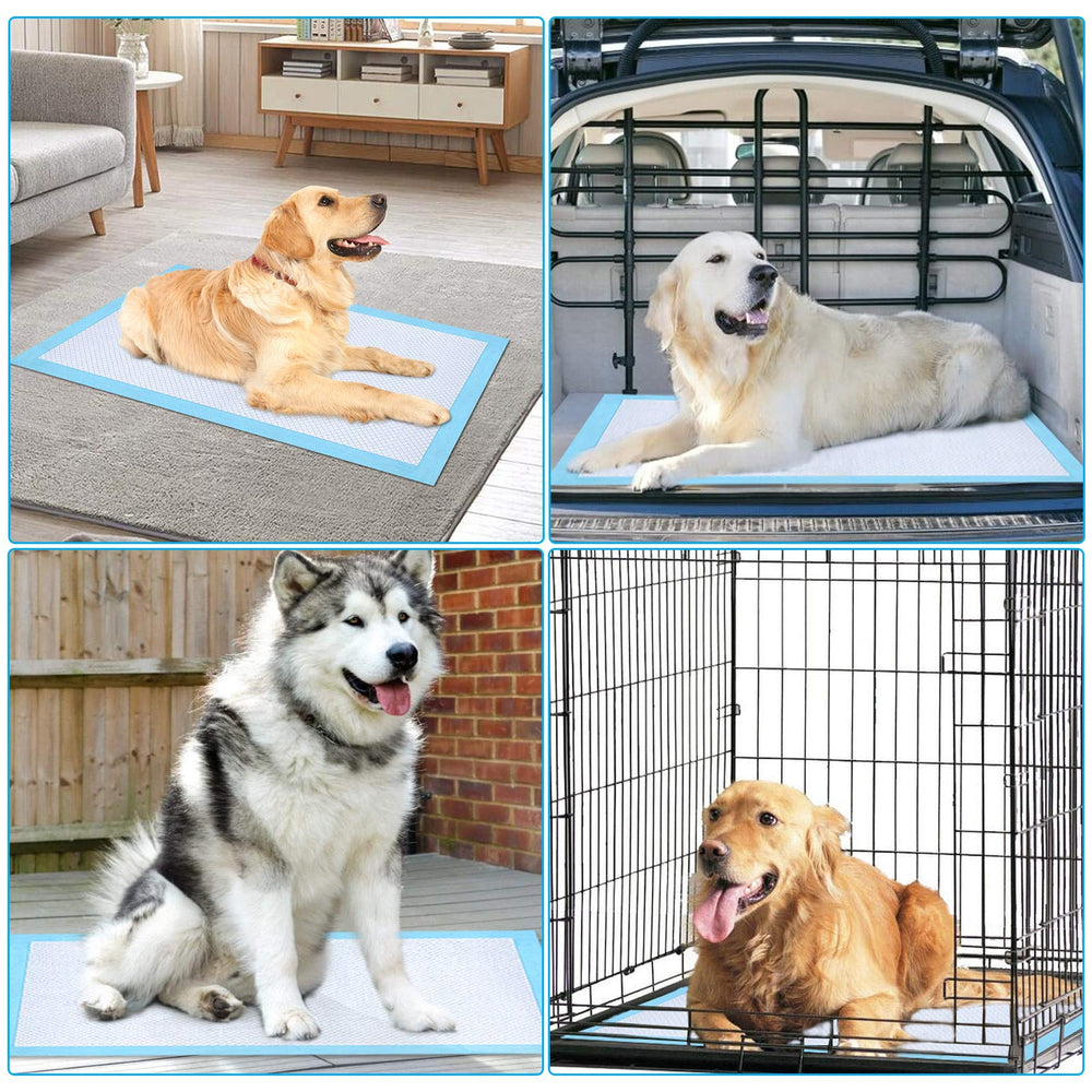 Ownpets Dog Training XL Pad used indoors and outdoors for versatile training setups.