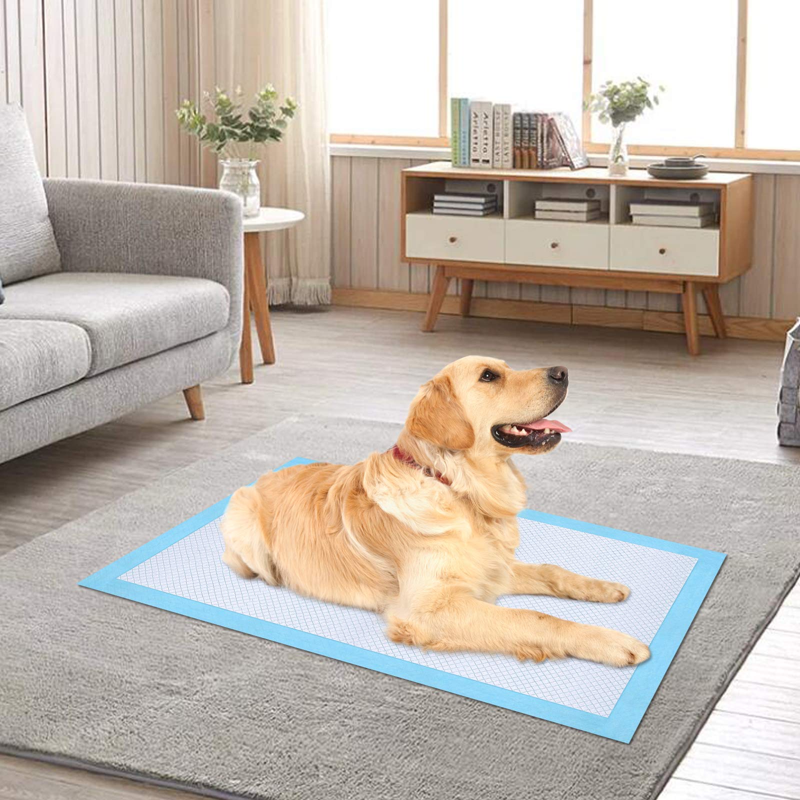 Ownpets Dog Training XL Pad supports large dogs 36-55 lbs for comfortable training.