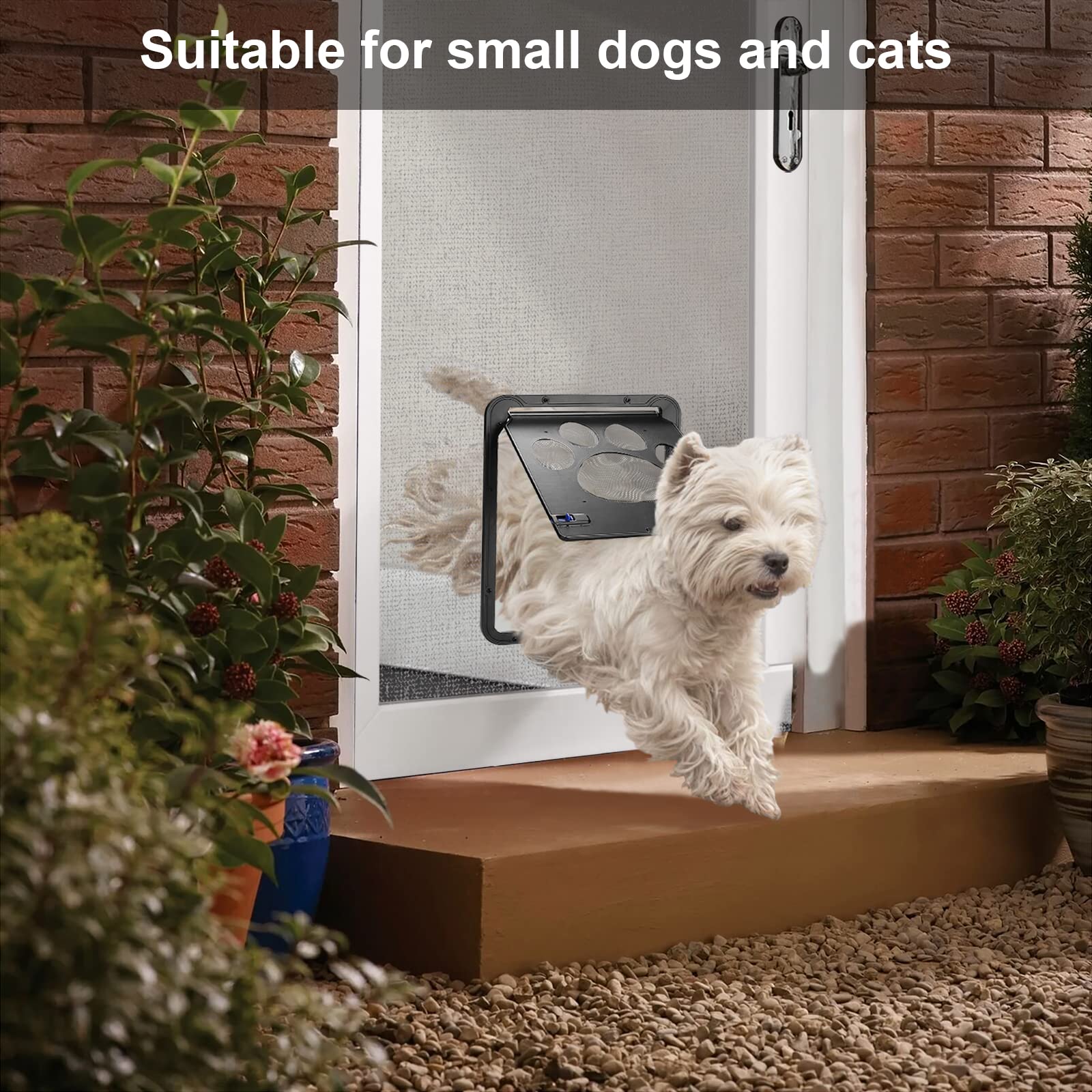 Ownpets puppy kitty door use scenarios captures real life moments of pets entering and exiting
