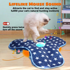 Oxawo cat toy shown with USB-C charging for quick setup.