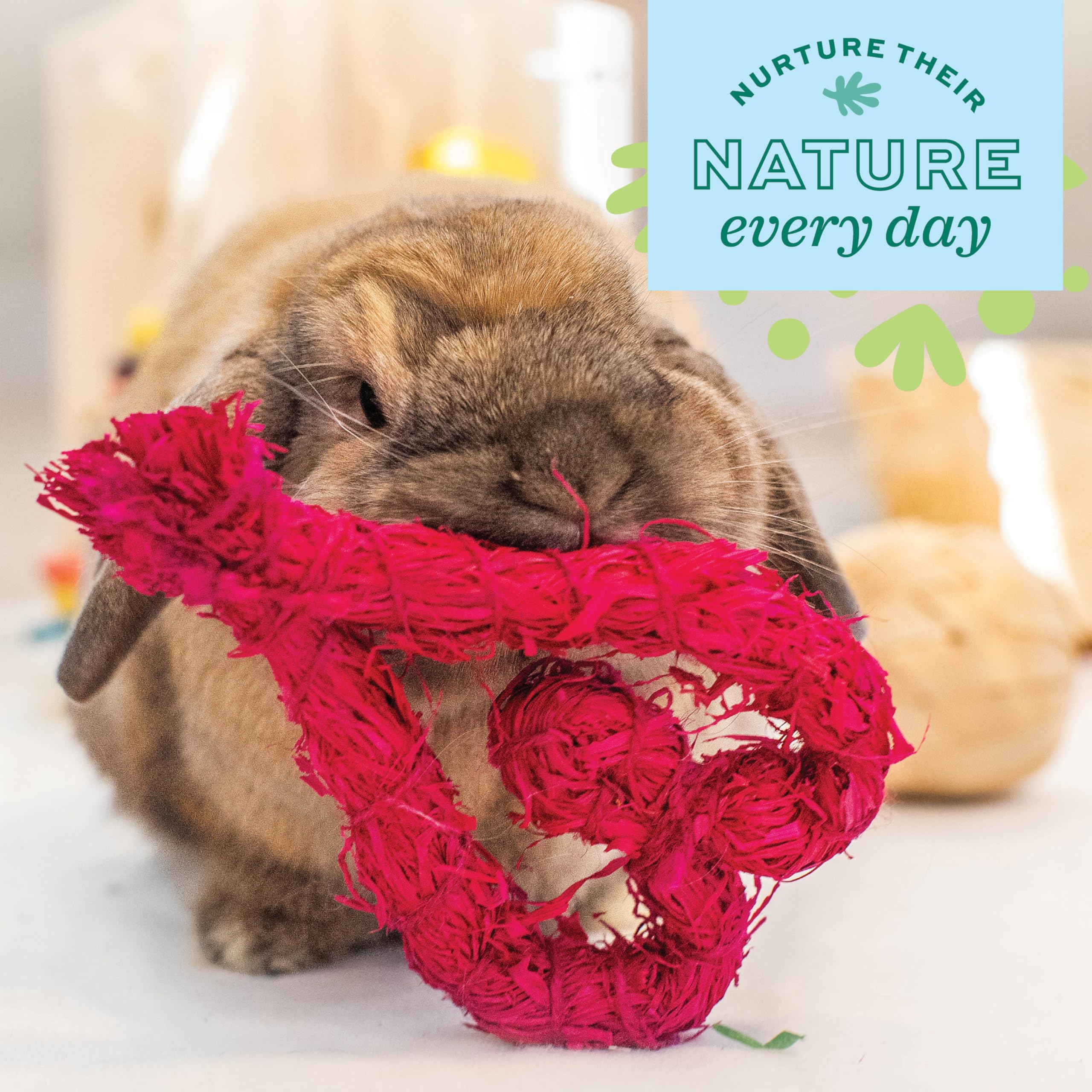 Oxbow Celebration Heart crafted with pet-friendly materials for safe, durable enrichment