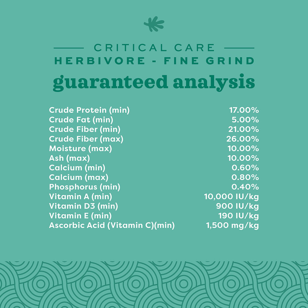 Oxbow Critical Care Herbivore syringe feeding setup for easy administration.
