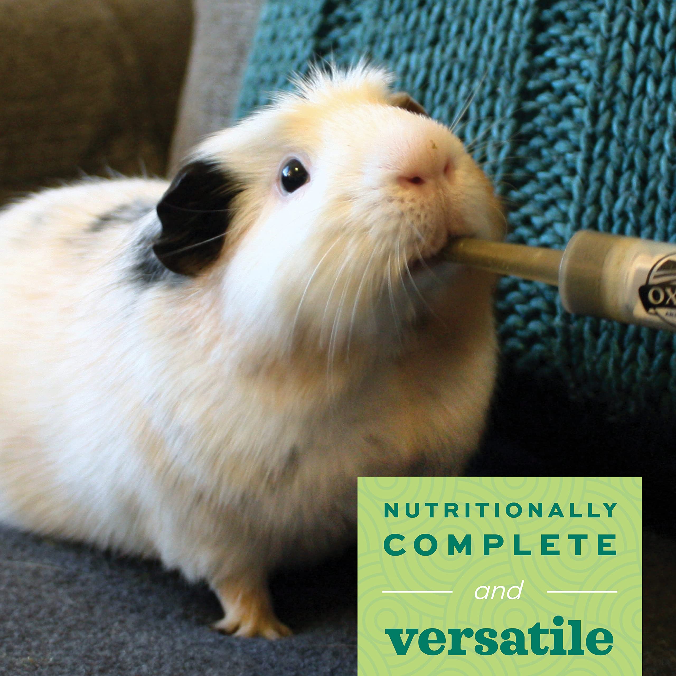 Oxbow Critical Care Herbivore syringe-feeding image highlighting precise dosing for recovery support