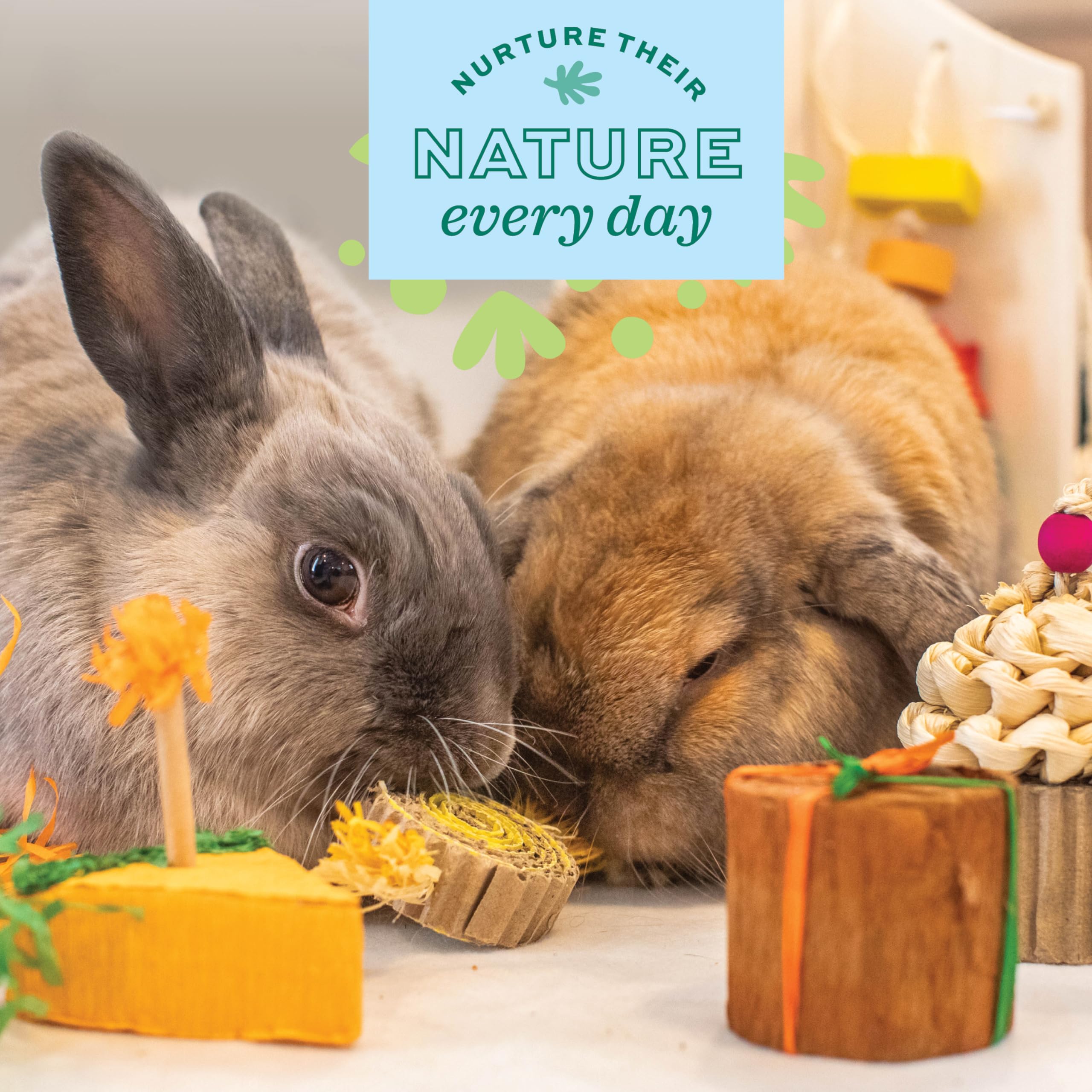 Oxbow Enriched Life Birthday Party Pack festive decor enhances hutches