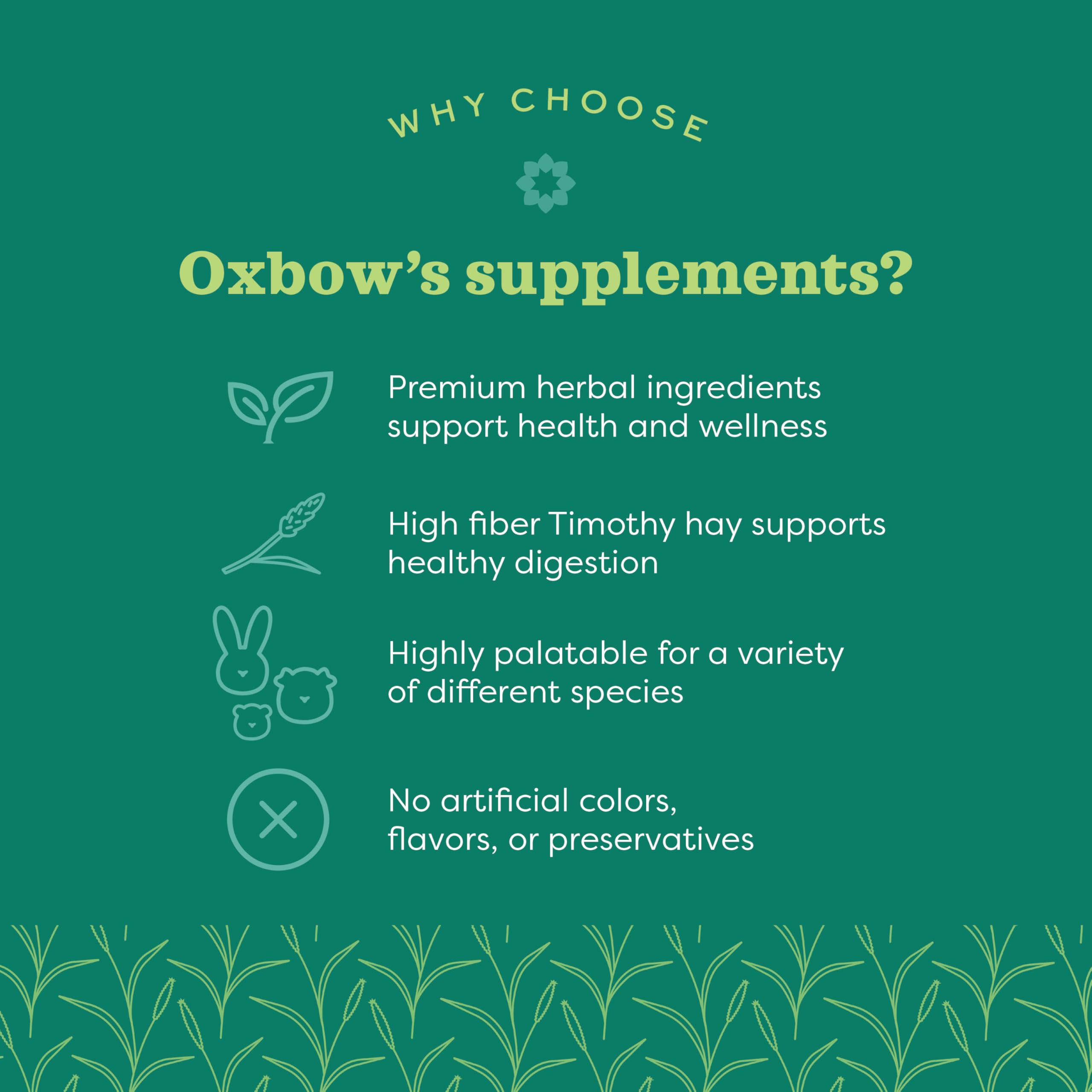 Oxbow Joint Support tablets close-up illustrates chewable joint care option for small pets.