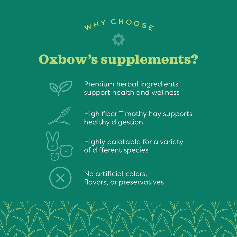 Oxbow Urinary Support chews illustrate easy daily dosing for bladder and kidney wellness