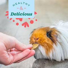 Oxbow dosing guide view conveys weight-based dosing for rabbits and guinea pigs