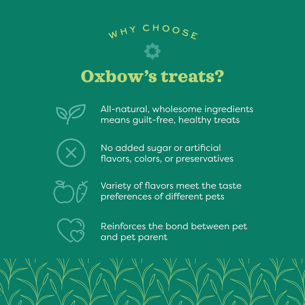 Oxbow Simple Rewards guinea pig snack close-up with cranberries