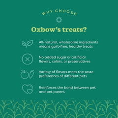 Oxbow Simple Rewards guinea pig snack close-up with cranberries