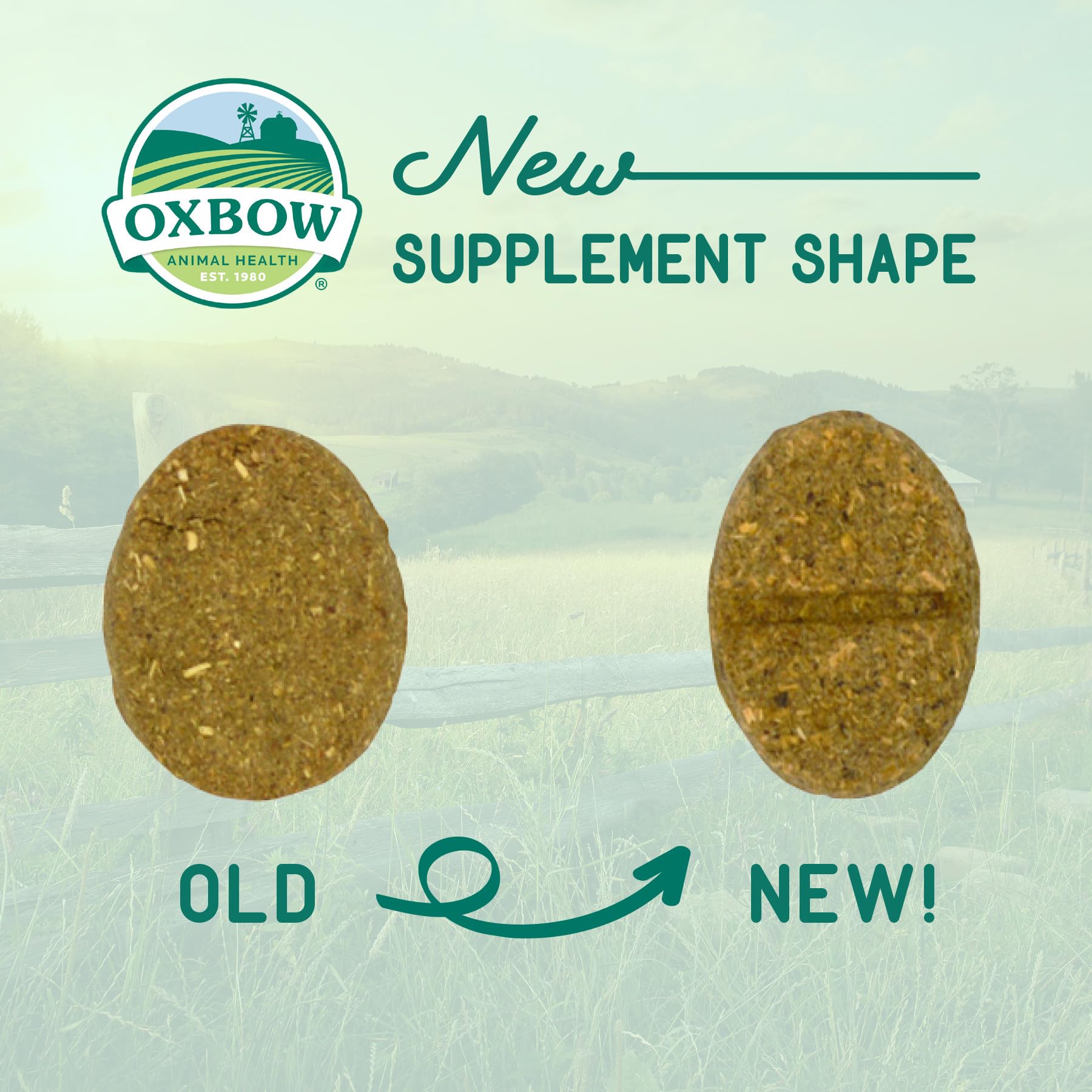 Oxbow small-pet mealtime activity image showcases daily joint care.