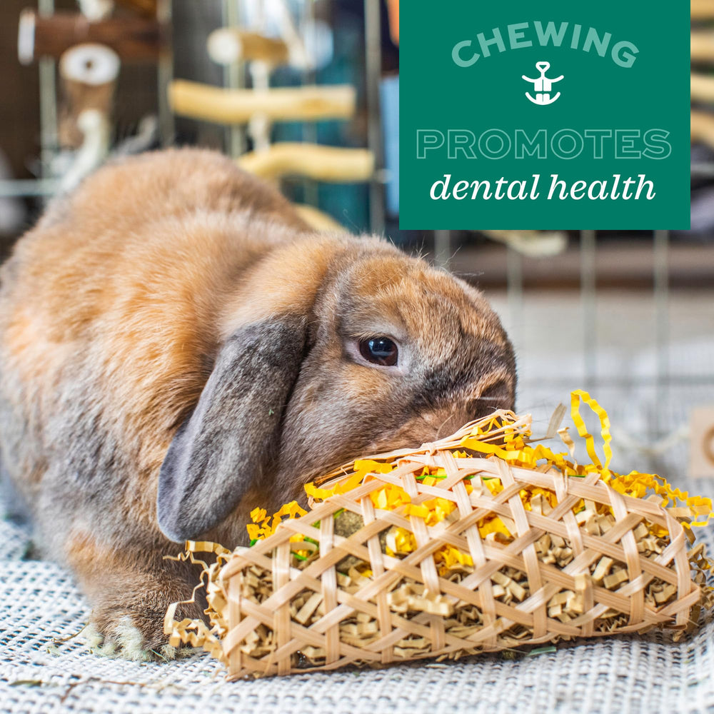 Oxbow Timbells being chewed to promote dental wear in small pets.