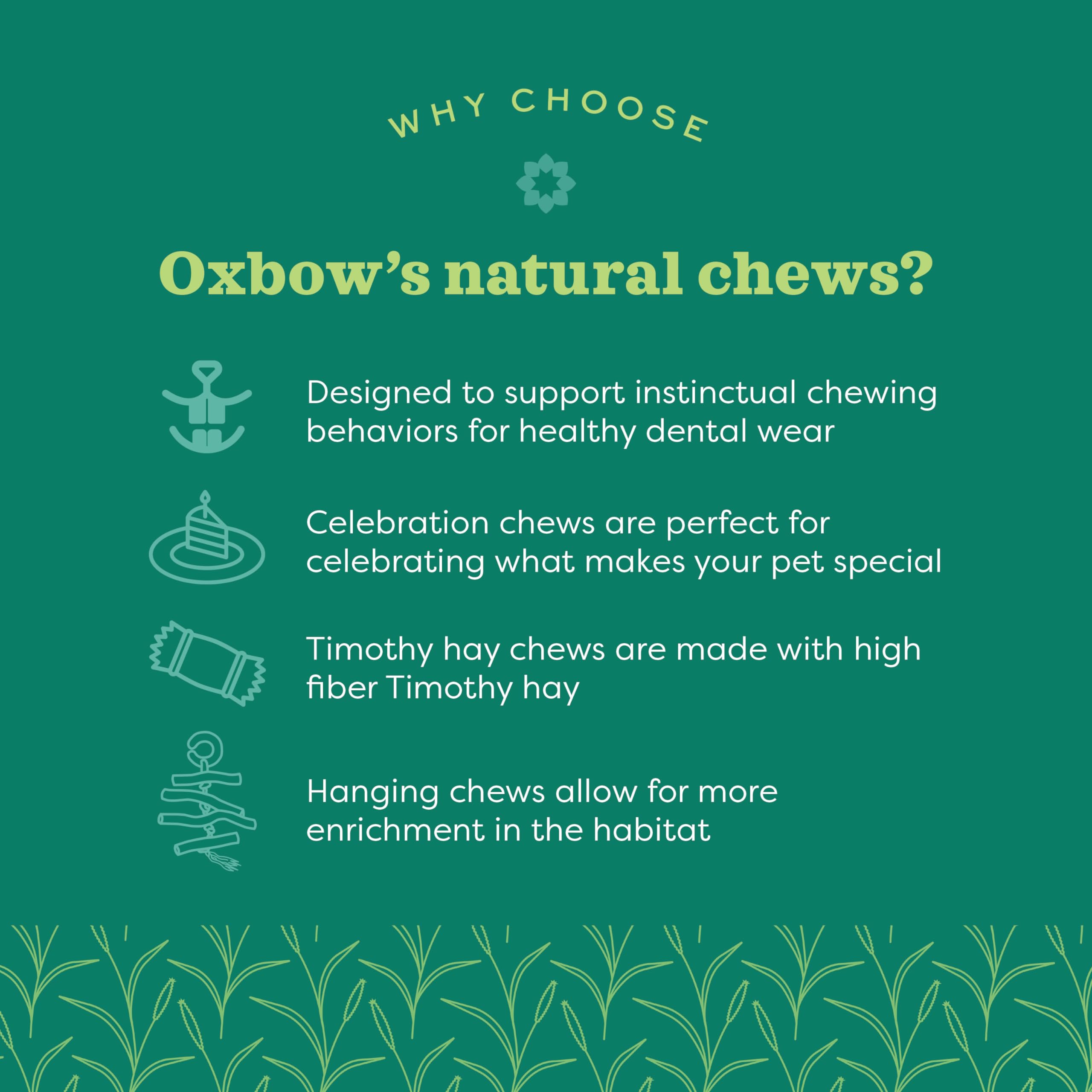 Oxbow Timbells closeup highlights absence of artificial dyes or preservatives for safe chewing.