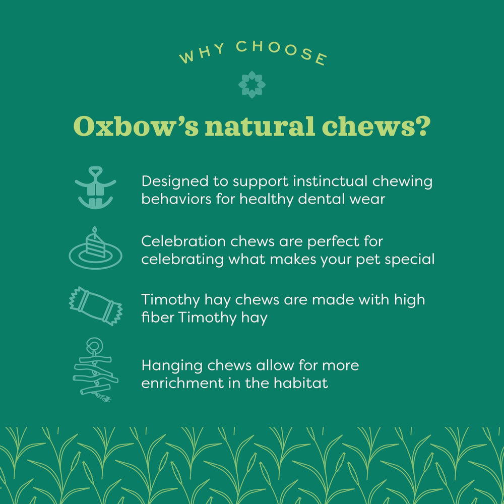 Oxbow Timbells closeup highlights absence of artificial dyes or preservatives for safe chewing.