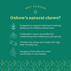Oxbow Timbells closeup highlights absence of artificial dyes or preservatives for safe chewing.