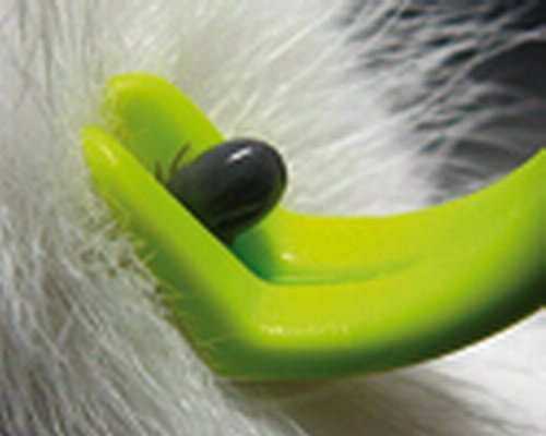 OXO Pet Products tick-removal tools detailed view showing safe design features.