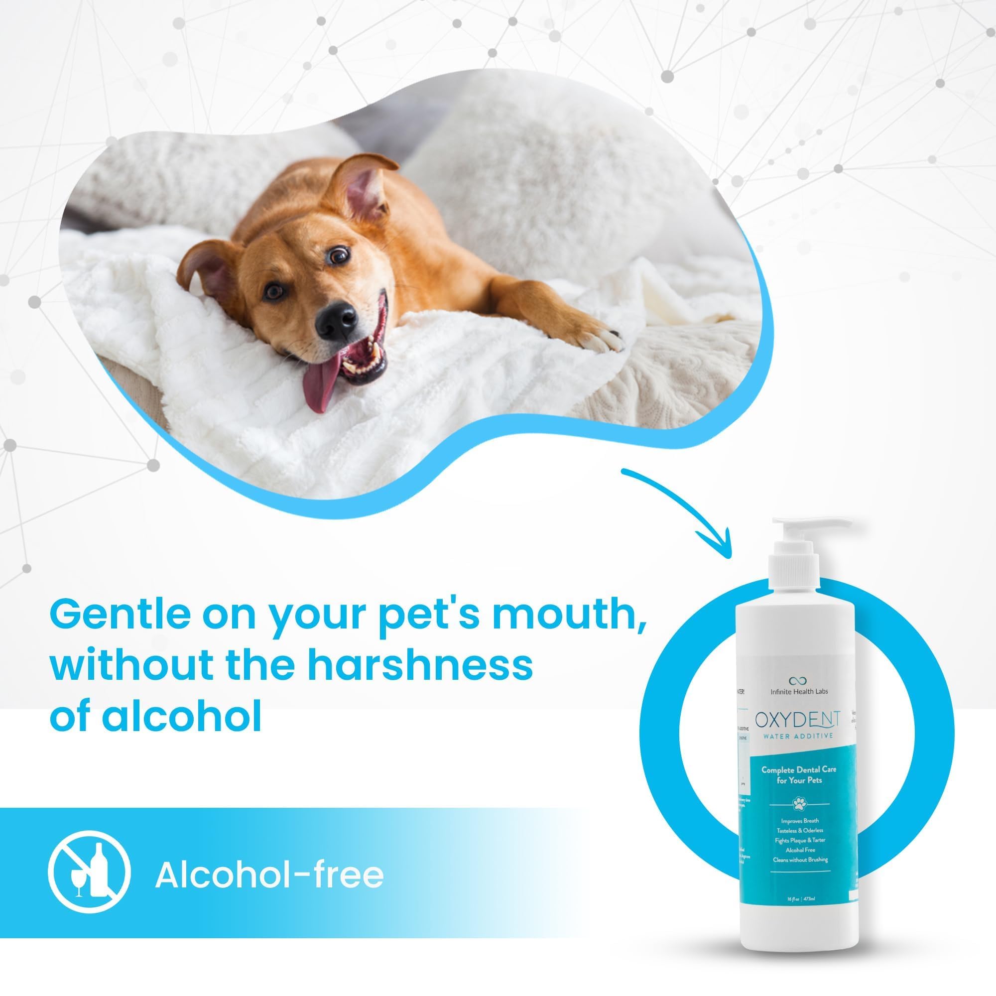 Veterinarian-owned chemical-free Oxydent supports safe at home dental care.