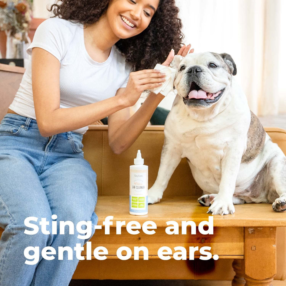 Oxyfresh Advanced Pet Ear Cleaner cat ear wash illustrates gentle care