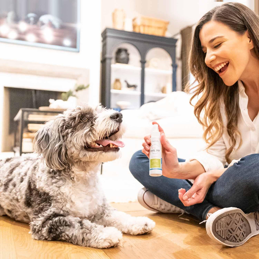Oxyfresh breath spray as a water additive for dental care.