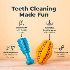 Oxyfresh dog dental chew toy stuffed with treats for tasty rewards